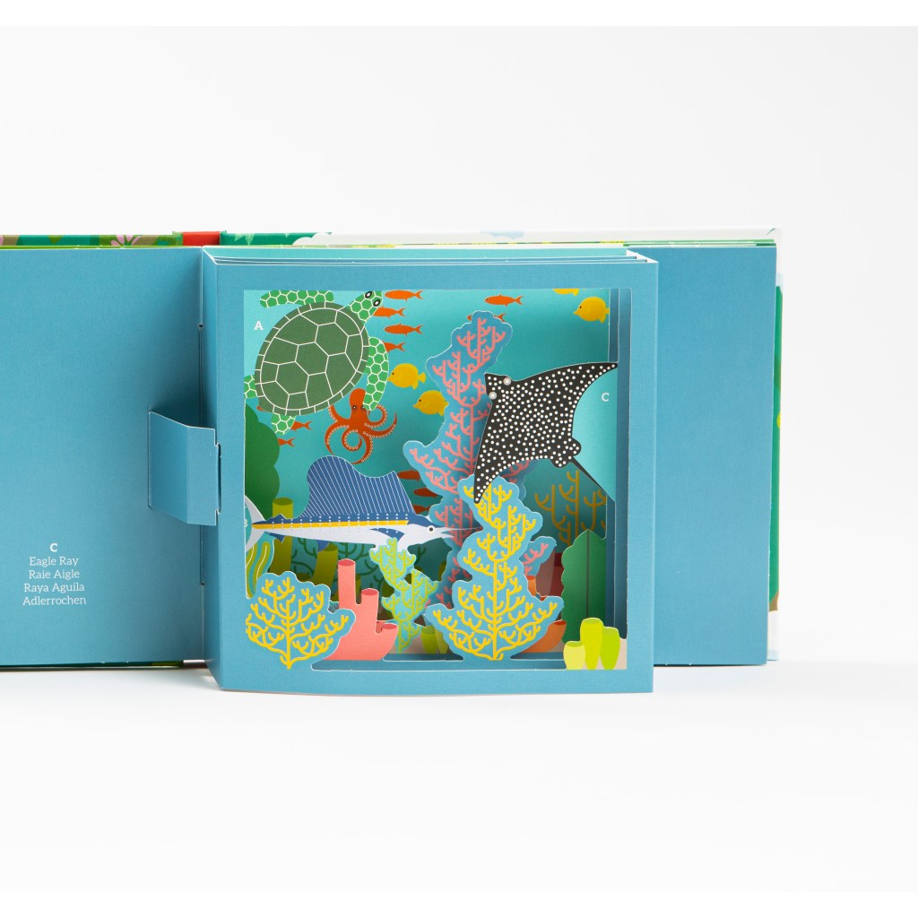 Into the Tropics. Sipidipi