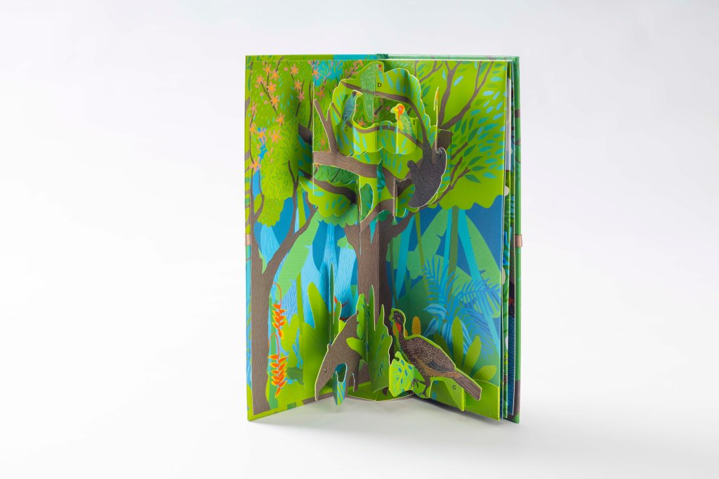 Birds of Costa Rica.&nbsp;Sipidipi