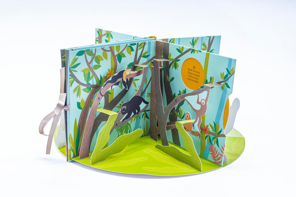 Animals of Costa Rica.&nbsp;Sipidipi